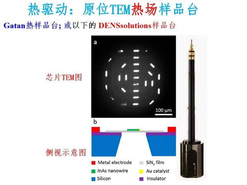納米材料與器件中熱電效應與應力驅動的電子顯微鏡研究及其在電子產品及元器件研發(fā)中的應用